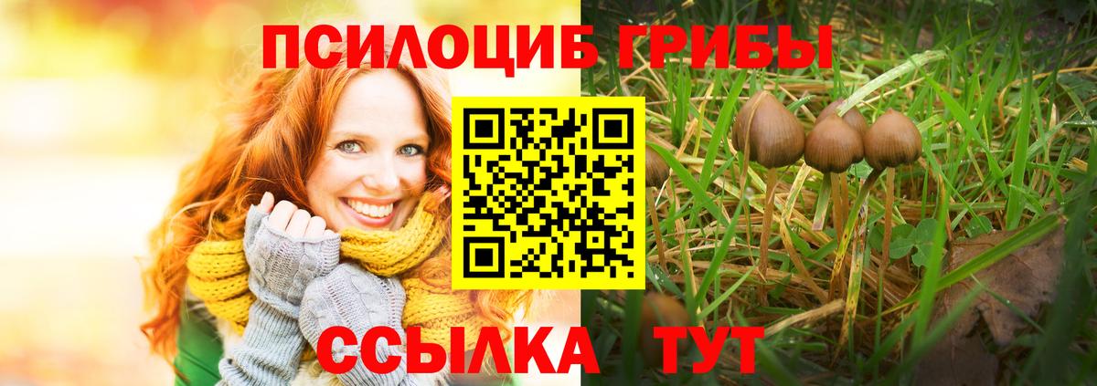 закладка  Псилоцибиновые грибы ЛСД  Вход с VPN  Псилоцибиновые грибы Cubensis  Сатка 
